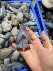 Agate Penguin Figurines – Crystal Healing and Decorative Sculptures