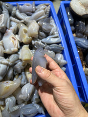 Agate Penguin Figurines – Crystal Healing and Decorative Sculptures