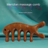 Meridian Massage Comb – Portable Wooden Acupressure Tool