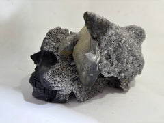 Calcite Skull Sculpture – Unique Crystal Decor & Healing Stone Ornament