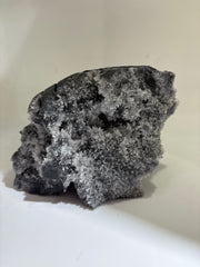 Calcite Skull with Feather Motif – Natural Crystal Mineral Sculpture