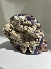 Celestial Druzy Fluorite Crystal Skull with Natural Mineral Cluster