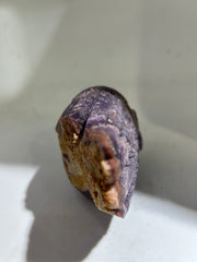 Fluorite Skull with Natural Wing Motif | Raw Crystal Art Sculpture | Unique Gothic Decor