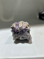 Curiosity Constellation Sphalerite Dragon Head – Crystal for Intuitive Exploration & Cosmic Wonder