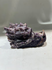 Curious Constellation Sphalerite Dragon Head – Hand-Carved Crystal Sculpture for Intuitive Exploration & Cosmic Curiosity