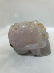 Mystery Mix Constellation Druzy Agate Skull – Celestial Crystal for Tarot, Intuition & Cosmic Energy