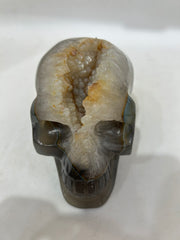 Mystery Mix Constellation Druzy Agate Skull – Cosmic Crystal Skull for Tarot, Intuition & Spiritual Awakening