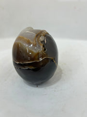 Mystery Mix Constellation Agate Skull with Natural Druzy – Hand-Carved Celestial Crystal for Tarot, Meditation & Intuitive Energy