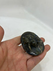 Unique Spectrolite Spider Sculpture