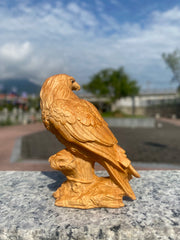 Hawk– Exquisite Cliff Cypress Carving