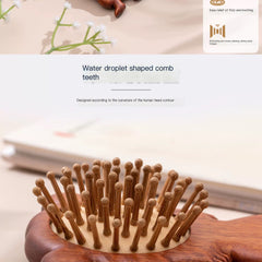 Sandalwood Air Cushion Comb – Artistic Hair Care Tool