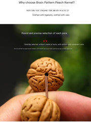 Natural Walnut Beads Bracelet – Unique Texture & Cultural Charm