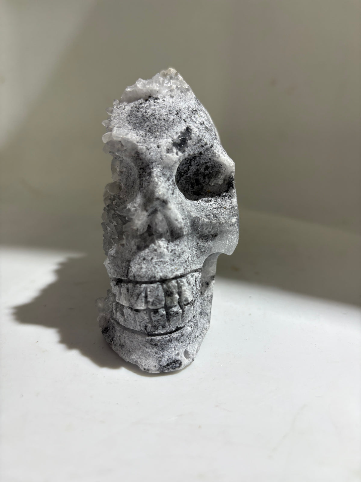 Druzy Crest Calcite Skull Sculpture with Natural Geode Formation