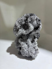 Shadow Frost Calcite Crystal Skull with Raw Druzy Back