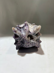 Natural Sphalerite Dragon Head – Uncarved Constellation Mineral, Unique Cosmic Crystal Art