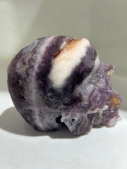 Mystic Veil Fluorite Crystal Skull with Striking Natural Bands