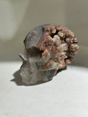 Celestial Geode Fluorite Skull – Hand-Carved Crystal Skull with Natural Druzy Cavity