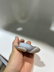 Light Agate Turtle Sculpture – Natural Druzy Crystal Carving for Elegant Home Decor