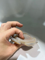 Druzy Agate Turtle – Unique Crystal Animal Sculpture for Home & Office Decor