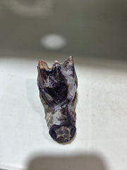 Galactic Curiosity Sphalerite Dragon Head – Hand-Carved Crystal, Constellation-Inspired Energy for Tarot & Intuition