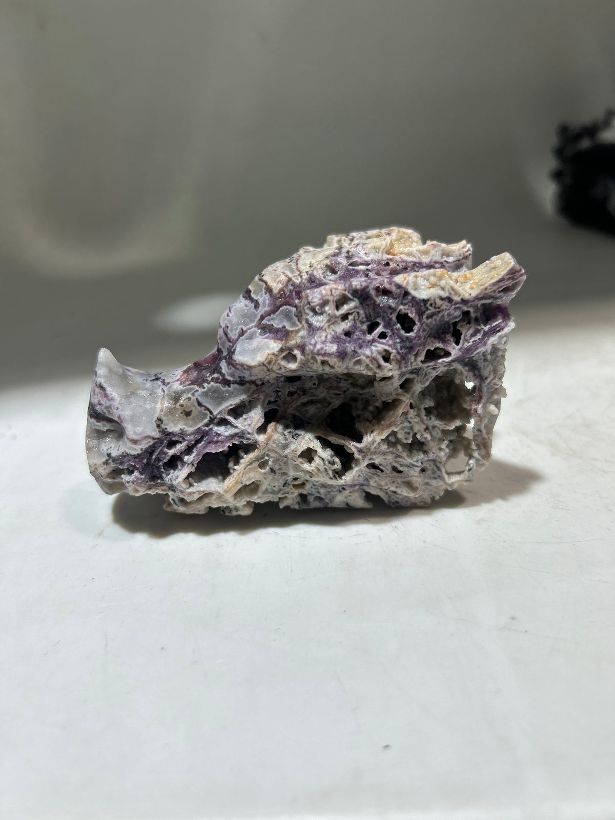 Curiosity Constellation Sphalerite Dragon Head – Crystal for Intuitive Exploration & Cosmic Wonder