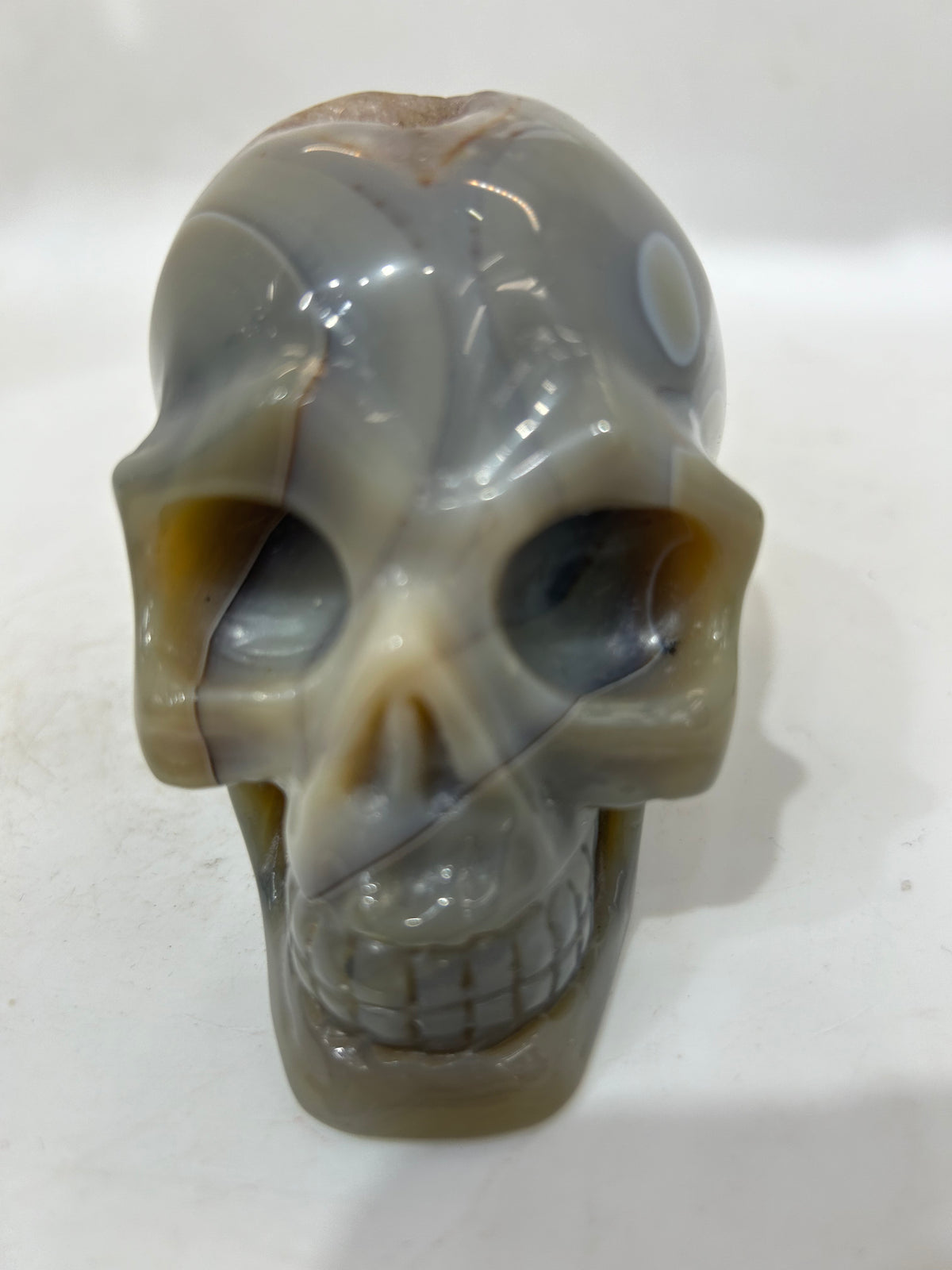 Mystery Mix Constellation Agate Skull – Cosmic Crystal for Tarot, Intuition & Celestial Wisdom