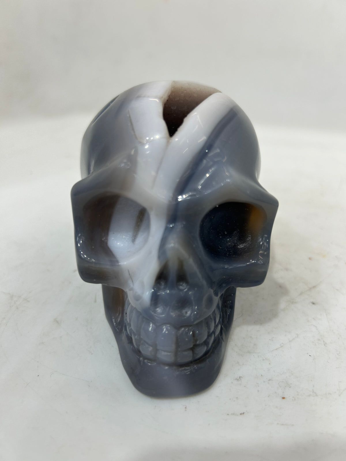 Mystery Mix Constellation Agate Skull – Hand-Carved Celestial Crystal Skull for Tarot, Intuition & Cosmic Energy