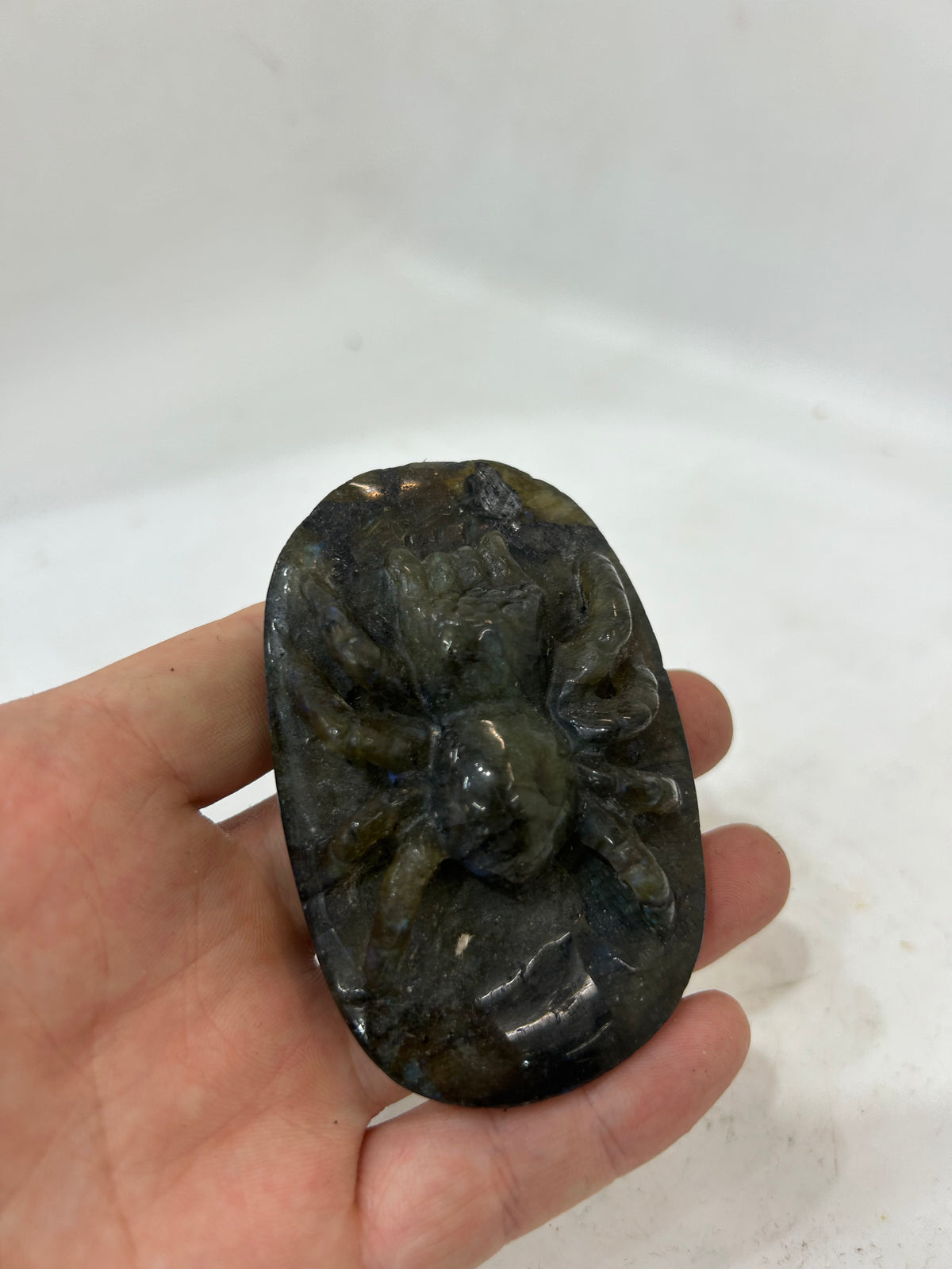 Hand-Carved Spectrolite Spider Sculpture