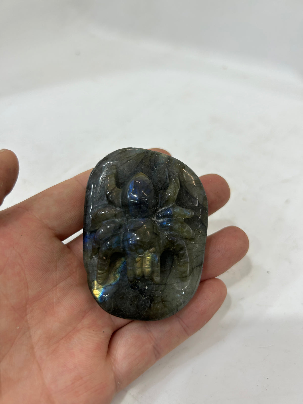 Hand-Carved Spectrolite Spider Sculpture